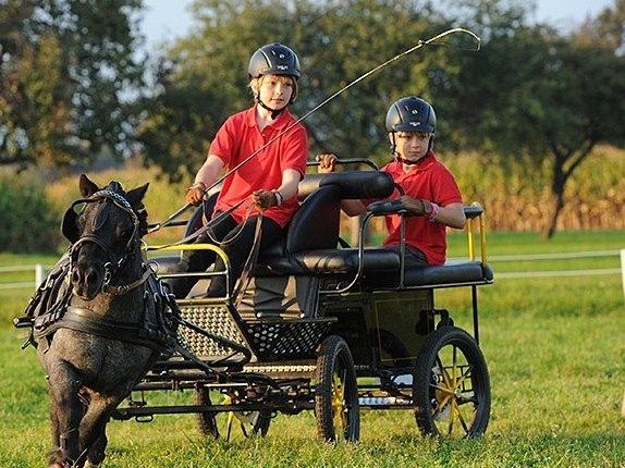 Kinder beweisen große Geschicklichkeit beim Kutschenfahren. Kinder beweisen große Geschicklichkeit beim Kutschenfahren.