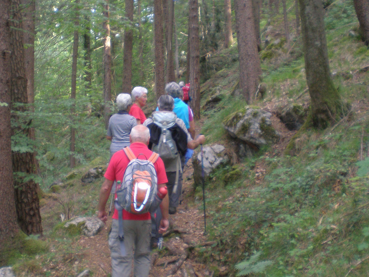 über Stock und Stein über Stock und Stein