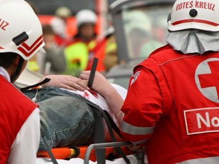 Der Lenker wurde bei dem Unfall verletzt. Der Lenker wurde bei dem Unfall verletzt.