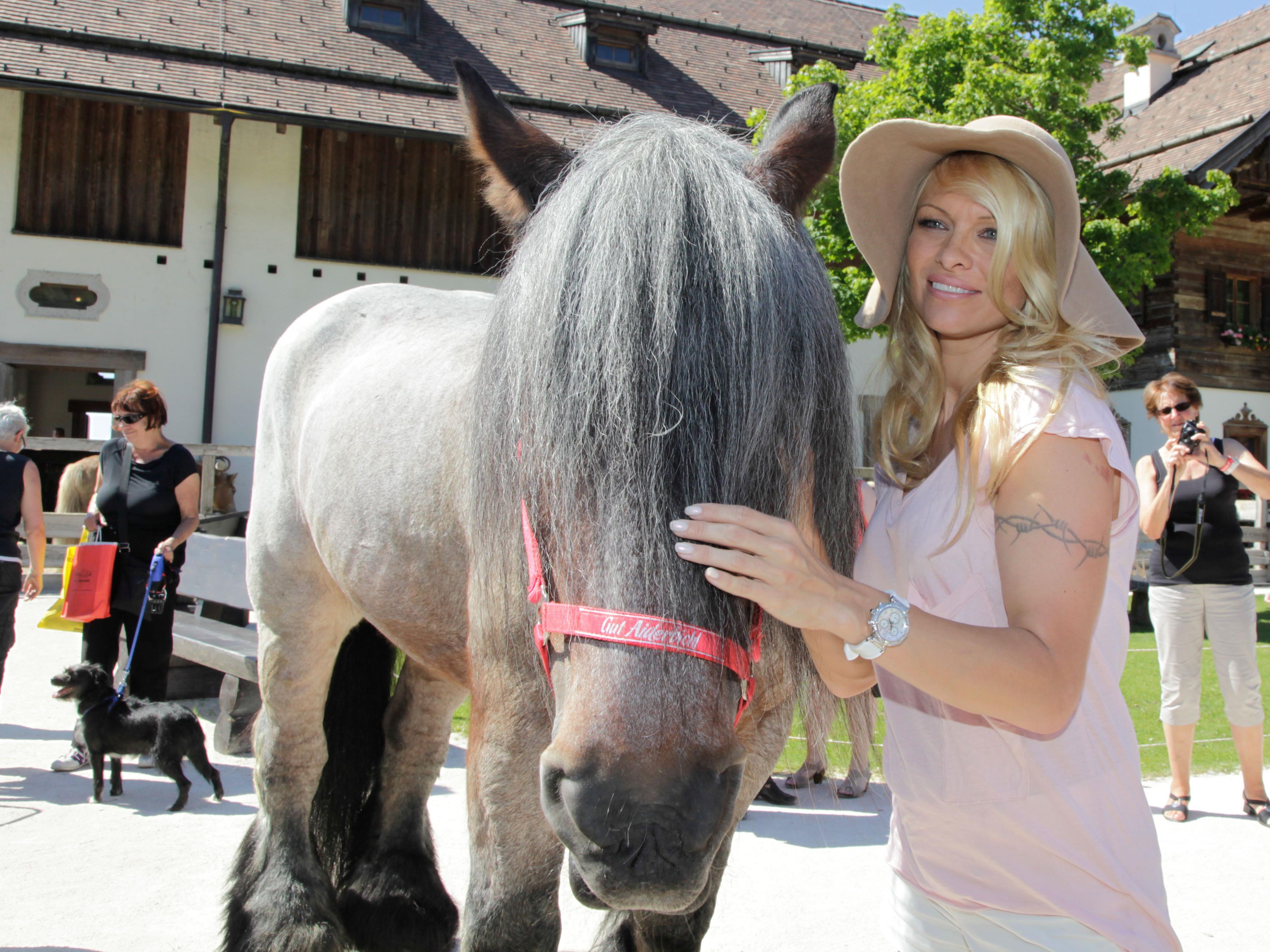Pamela Anderson zu Besuch auf Gut Aiderbichl in Henndorf bei Salzburg.