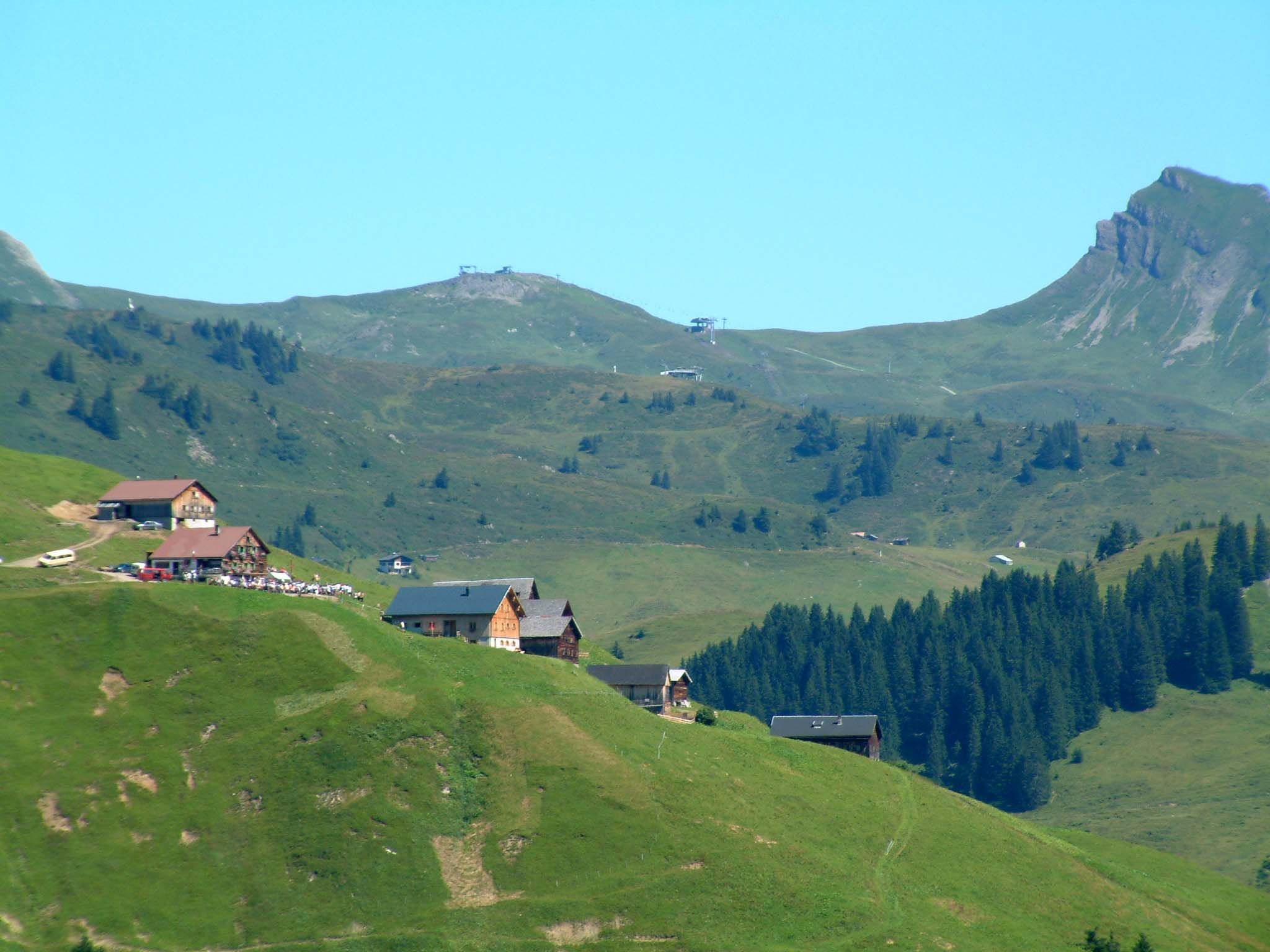 Auf der Alpe Sera wurde der Genuss-Wanderführer präsentiert. Auf der Alpe Sera wurde der Genuss-Wanderführer präsentiert.