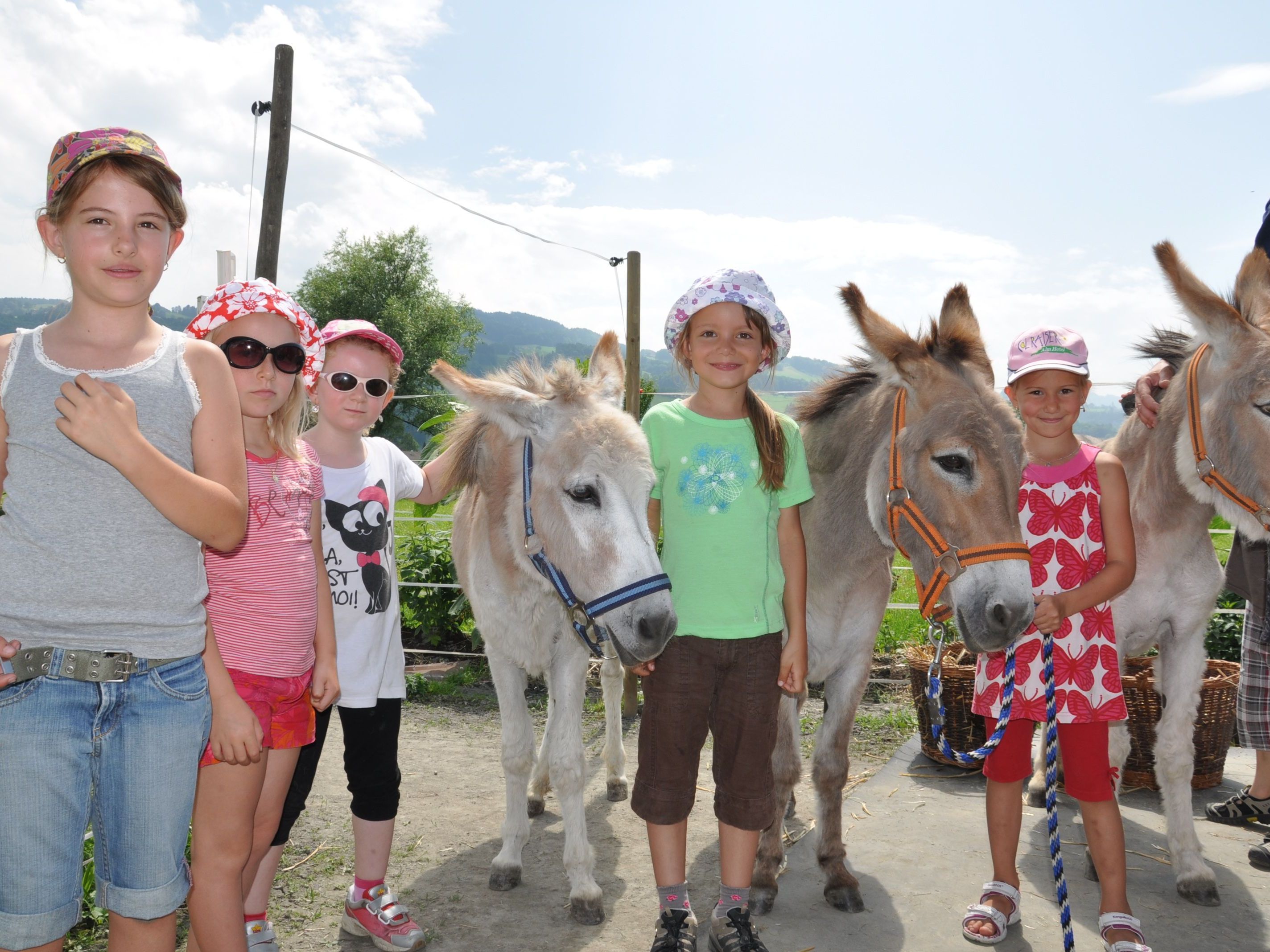 DIe erste Klasse und Vorschule der Volksschule Gaißau machte eine Exkursion zu Renate Burdas Eseldamen. DIe erste Klasse und Vorschule der Volksschule Gaißau machte eine Exkursion zu Renate Burdas Eseldamen.