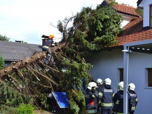 In Folge der teils schweren Unwetter musste die Feuerwehr mehrere umgestürzte Bäume bergen In Folge der teils schweren Unwetter musste die Feuerwehr mehrere umgestürzte Bäume bergen