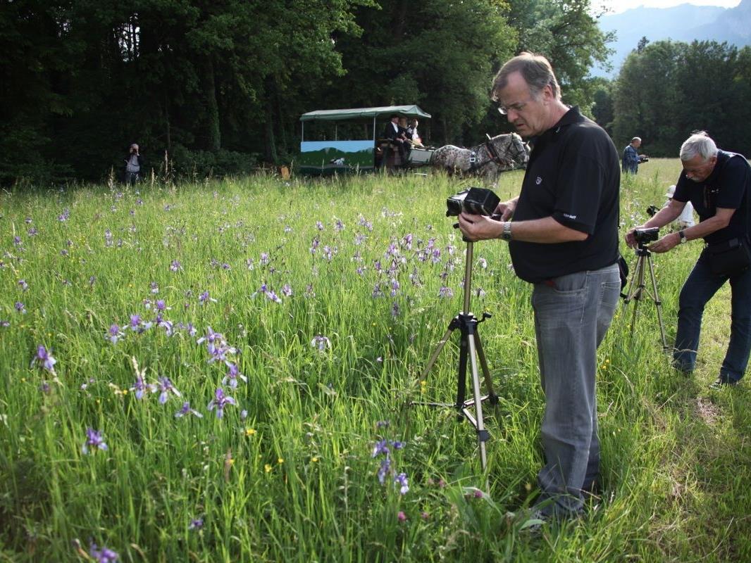 Was die Filmfreunde faszinierte, waren besonders die Sibirischen Schwertlilien (Iris), welche die Wiesen in ein leuchtend blaues Blütenmeer verwandelten