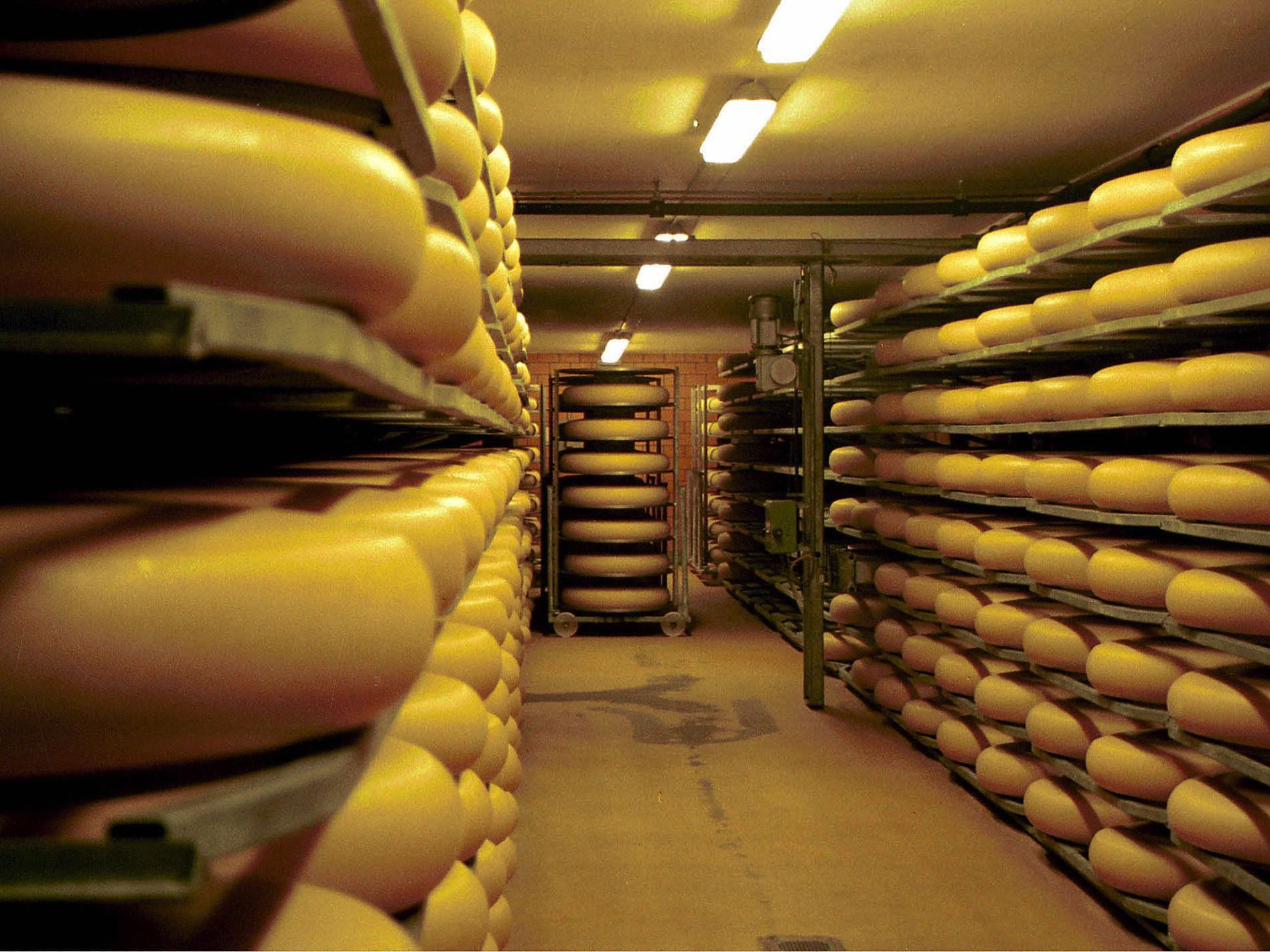 Alles Käse: "CheeseBomb" soll die Jugendlichen begeistern. Alles Käse: "CheeseBomb" soll die Jugendlichen begeistern.