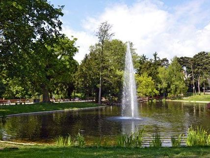 Kostenlos die Natur genießen und kostenlos online sein - beides möglich im Türkenschanzpark. Kostenlos die Natur genießen und kostenlos online sein - beides möglich im Türkenschanzpark.