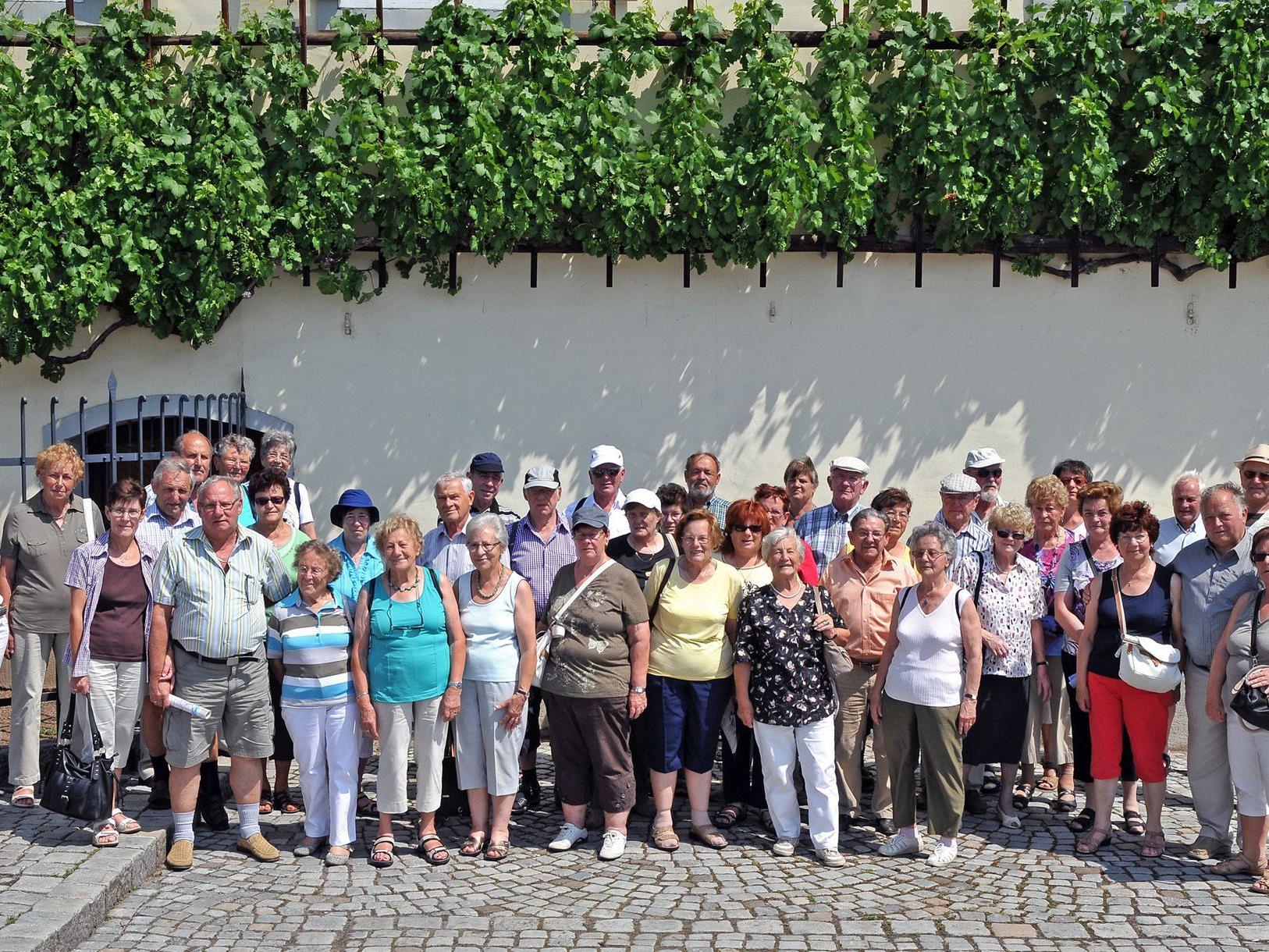 Gruppenfoto der Höchster Ausflügler vor der 400 Jahre alten Weinrebe in Maribor