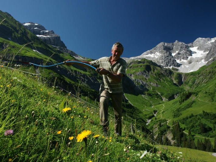 Agrarbericht 2012: Öffentliche Hand entrichtete 77 Mio. Euro an Leistungsabgeltung. Agrarbericht 2012: Öffentliche Hand entrichtete 77 Mio. Euro an Leistungsabgeltung.