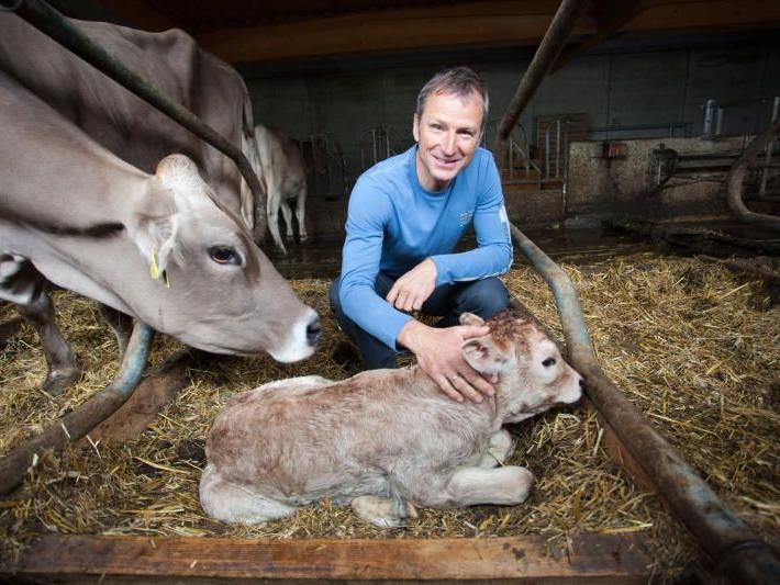 Der heutige Landwirt Hubert Strolz streichelt das neugeborene Kalb