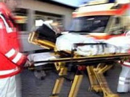 Zwei Kinder wurden am Dienstag bei dem Verkehrsunfall in Tulln verletzt. Zwei Kinder wurden am Dienstag bei dem Verkehrsunfall in Tulln verletzt.