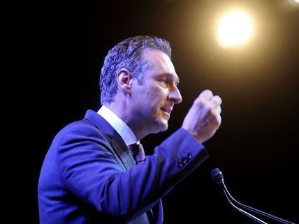 Am Sonntag findet der 33. Landesparteitag der FPÖ in der Wiener Hofburg statt. Am Sonntag findet der 33. Landesparteitag der FPÖ in der Wiener Hofburg statt.