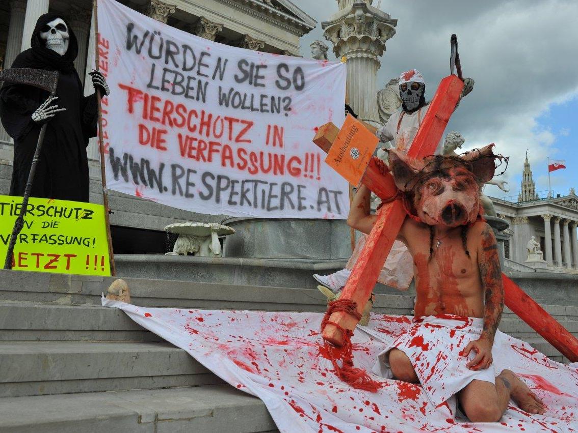 Die Tierschutzorganisation RespekTiere demonstierte am Donnerstag vor dem Parlament.