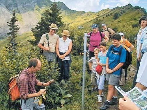 Auf dem Blumenlehrpfad kann man einiges über die heimischen Pflanzen erfahren Auf dem Blumenlehrpfad kann man einiges über die heimischen Pflanzen erfahren