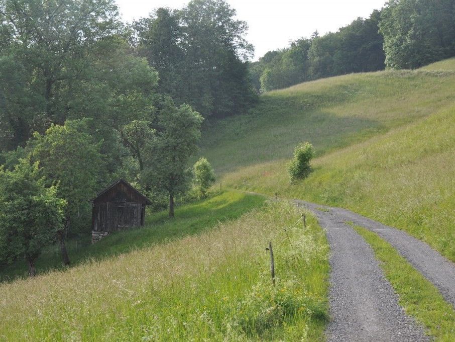 Wird zumindest ein Teil des "Hinteren Tschütsch" wieder zum Bauland zurück gewidmet?