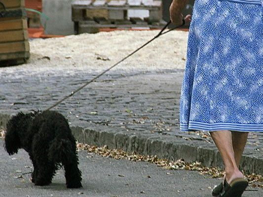 Der Handtaschenraub geschah beim Gassigehen in Wien-Donaustadt Der Handtaschenraub geschah beim Gassigehen in Wien-Donaustadt