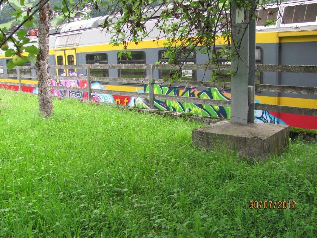 Triebwagengarnitur mit Graffiti besprüht.