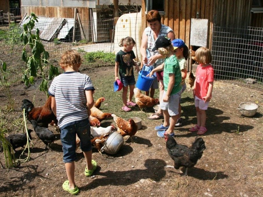 Erlebnisreicher Nachmittag auf dem Bauernhof erlebten die vielen Kinder. Erlebnisreicher Nachmittag auf dem Bauernhof erlebten die vielen Kinder.