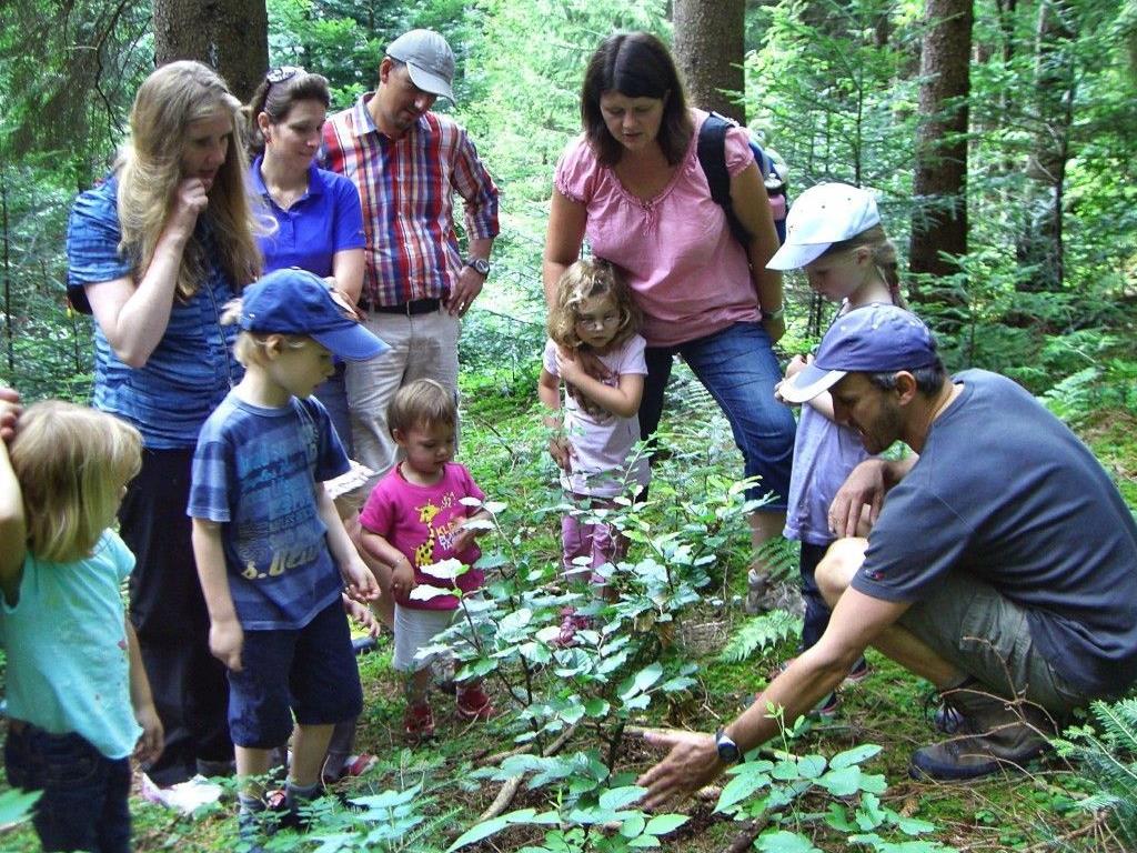 Abwechslungsreicher Walderlebnistag für Kinder und Erwachsene mitten im Lochauer Wald.