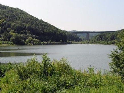 Am Wienerwaldsee fand man die zerstückelte Leiche von Autohändler Milos N. Am Wienerwaldsee fand man die zerstückelte Leiche von Autohändler Milos N.