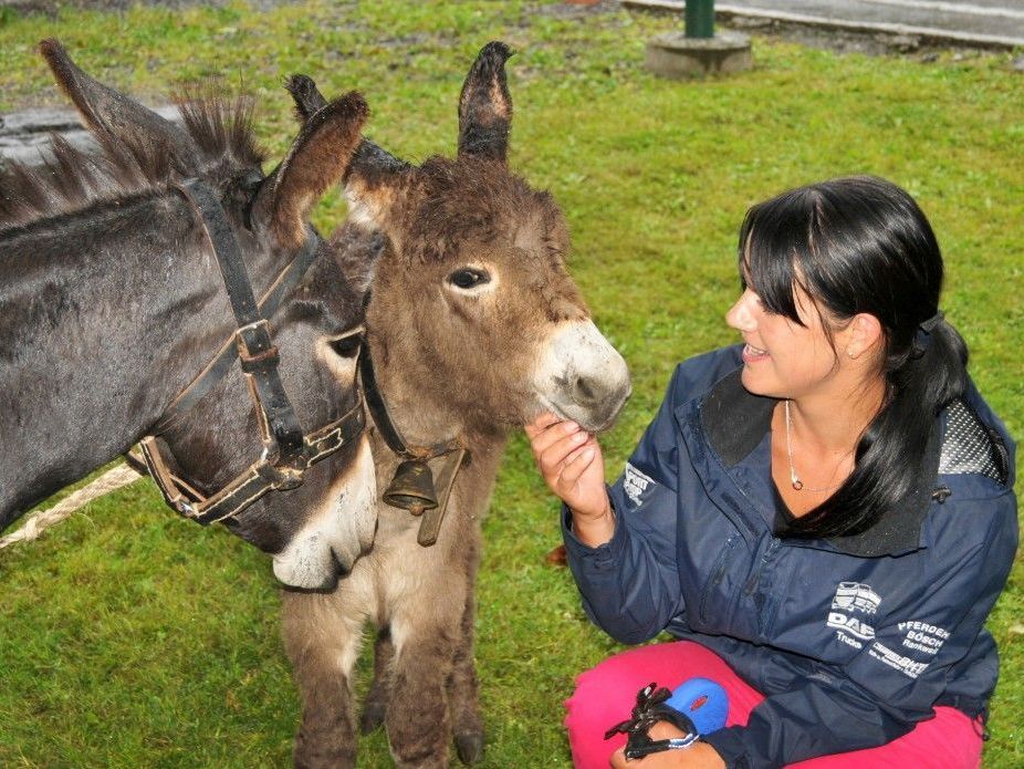 Annette mit etwas feucht gewordenen Eseln bei der Mellauer Kilbe. Annette mit etwas feucht gewordenen Eseln bei der Mellauer Kilbe.