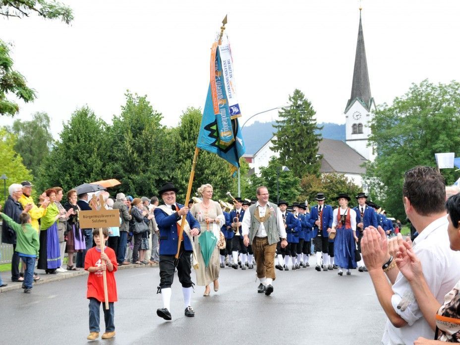 Toller Festumzug durch Hard Toller Festumzug durch Hard