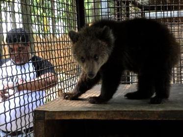 Das erste Foto nach der Befreiung: Bärenbaby Nastia ist endlich wieder in guten Händen.
