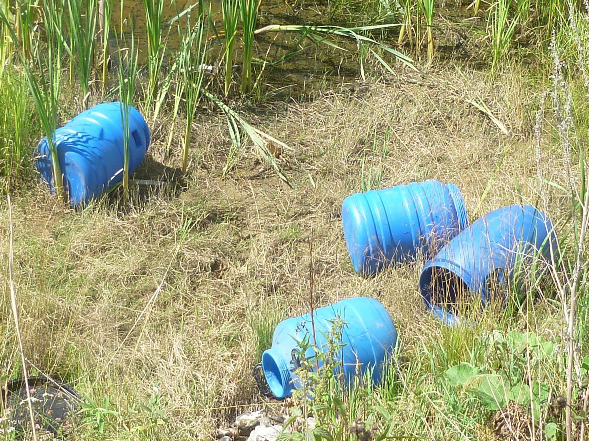 Bild vom Fundort - Der schockierende Fall nahe des Städtchens Newjansk am Ural wirft ein Schlaglicht auf das in Russland lukrative Geschäft mit Abtreibungen. Bild vom Fundort - Der schockierende Fall nahe des Städtchens Newjansk am Ural wirft ein Schlaglicht auf das in Russland lukrative Geschäft mit Abtreibungen.