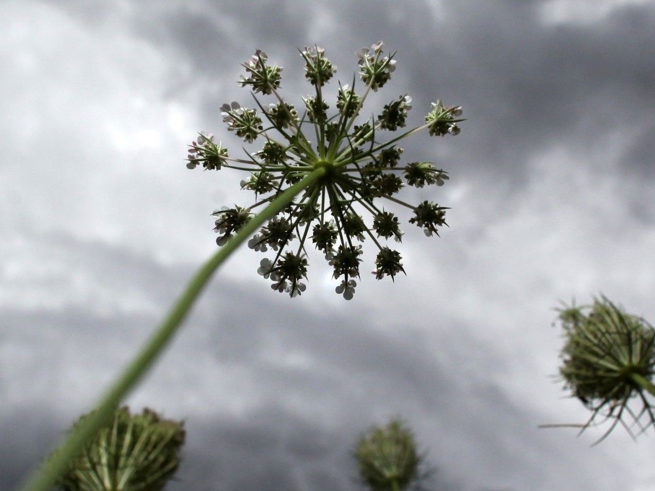 Auch am Wochenende muss man in Österreich mit Unwettern und Regenfällen rechnen. Auch am Wochenende muss man in Österreich mit Unwettern und Regenfällen rechnen.