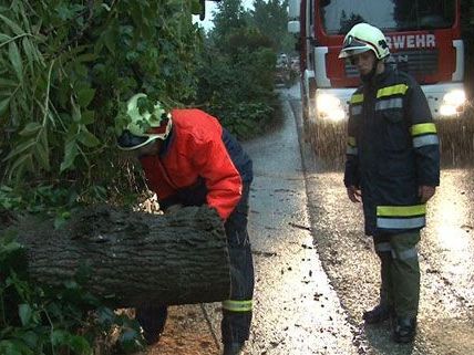 Am Donnerstag kam es wegen der Unwetter zu zahlreichen Feuerwehreinsätzen in Niederösterreich. Am Donnerstag kam es wegen der Unwetter zu zahlreichen Feuerwehreinsätzen in Niederösterreich.