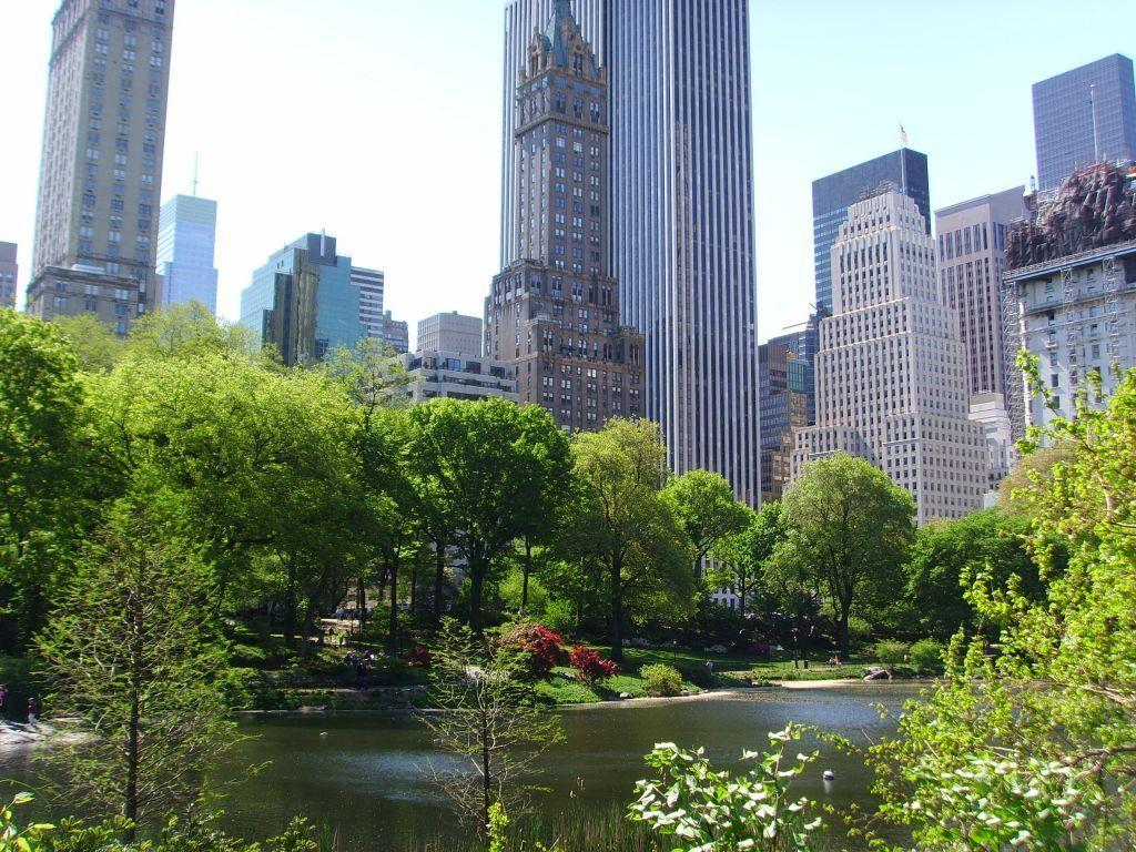 Central Park in New York.