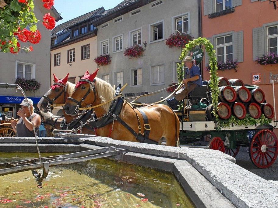 Die Pferdekutschen konnten beim Nepomukbrunnen in der Bludenzer Altstadt betrachtet werden.