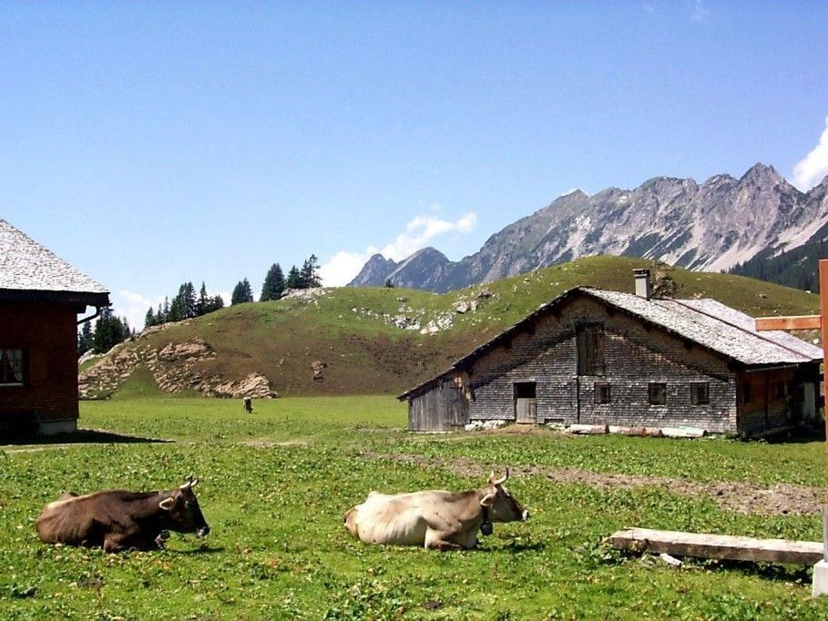 Mehr Einkommensgerechtigkeit mit Berücksichtigung der Landschaftspflege wird für Bergbauern gefordert. Mehr Einkommensgerechtigkeit mit Berücksichtigung der Landschaftspflege wird für Bergbauern gefordert.
