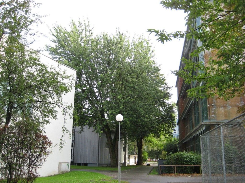 CO²-neutral: Das Schul- und Kulturzentrum ist an eine Biomassenahwärmeanlage angeschlossen. CO²-neutral: Das Schul- und Kulturzentrum ist an eine Biomassenahwärmeanlage angeschlossen.