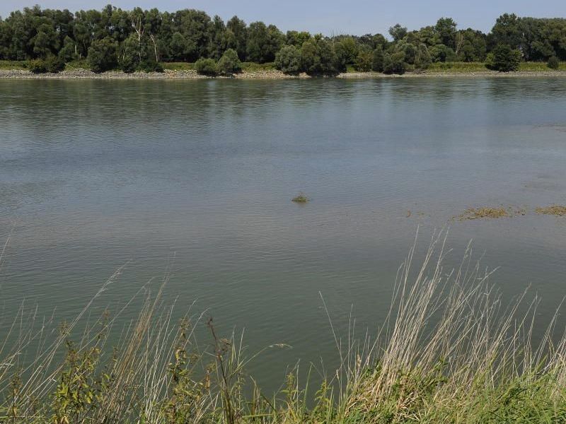 An dieser Donau-Stelle wurde das tote Neugeborene gefunden.