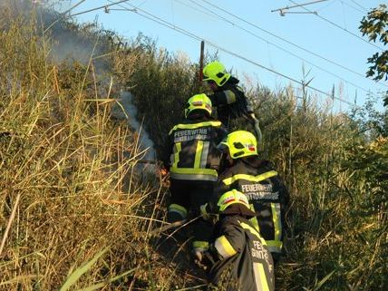 Bahndammbrand zwischen Mödling und Guntramsdorf Bahndammbrand zwischen Mödling und Guntramsdorf