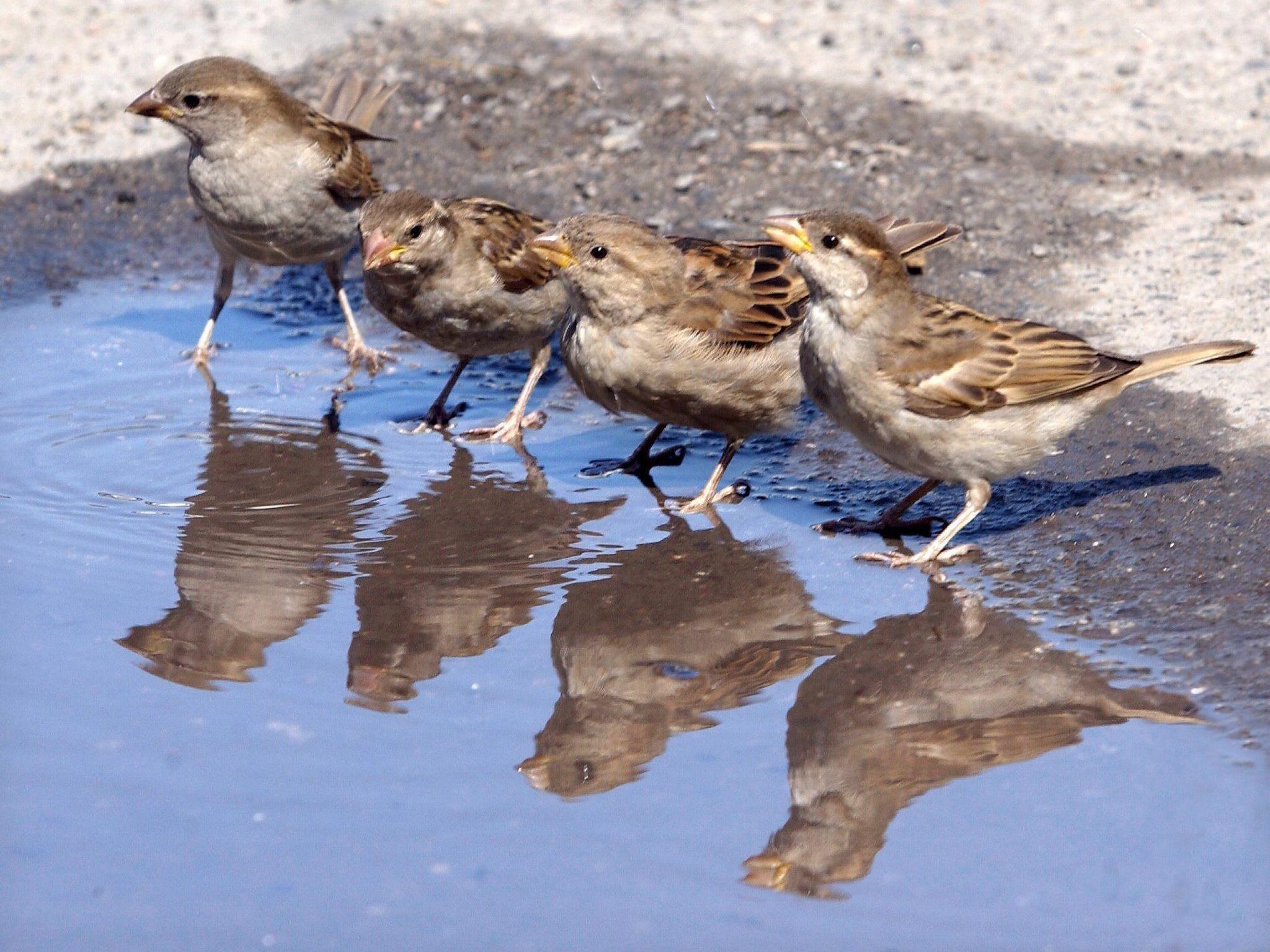 Anstatt ihren Unmut still in sich hineinzufressen, gehen sie auch fremd. Anstatt ihren Unmut still in sich hineinzufressen, gehen sie auch fremd.