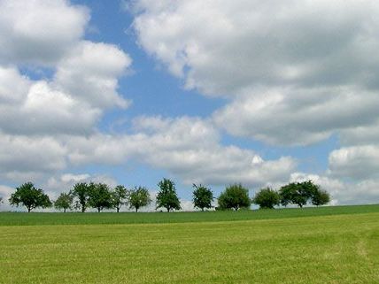 Das Wetter kühlt am Wochenende ein wenig ab Das Wetter kühlt am Wochenende ein wenig ab