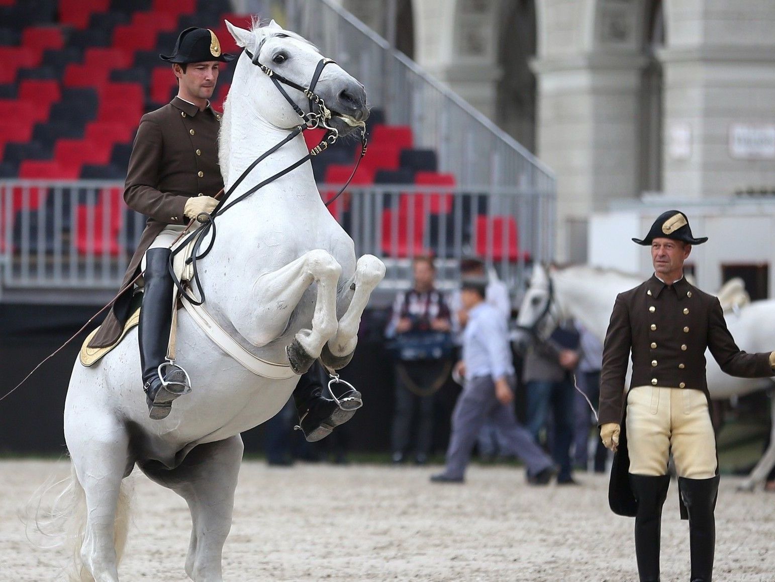 Vienna Masters: Die Lipizzaner der Hofreitschule absolvierten das erste Training am Rathausplatz. Vienna Masters: Die Lipizzaner der Hofreitschule absolvierten das erste Training am Rathausplatz.