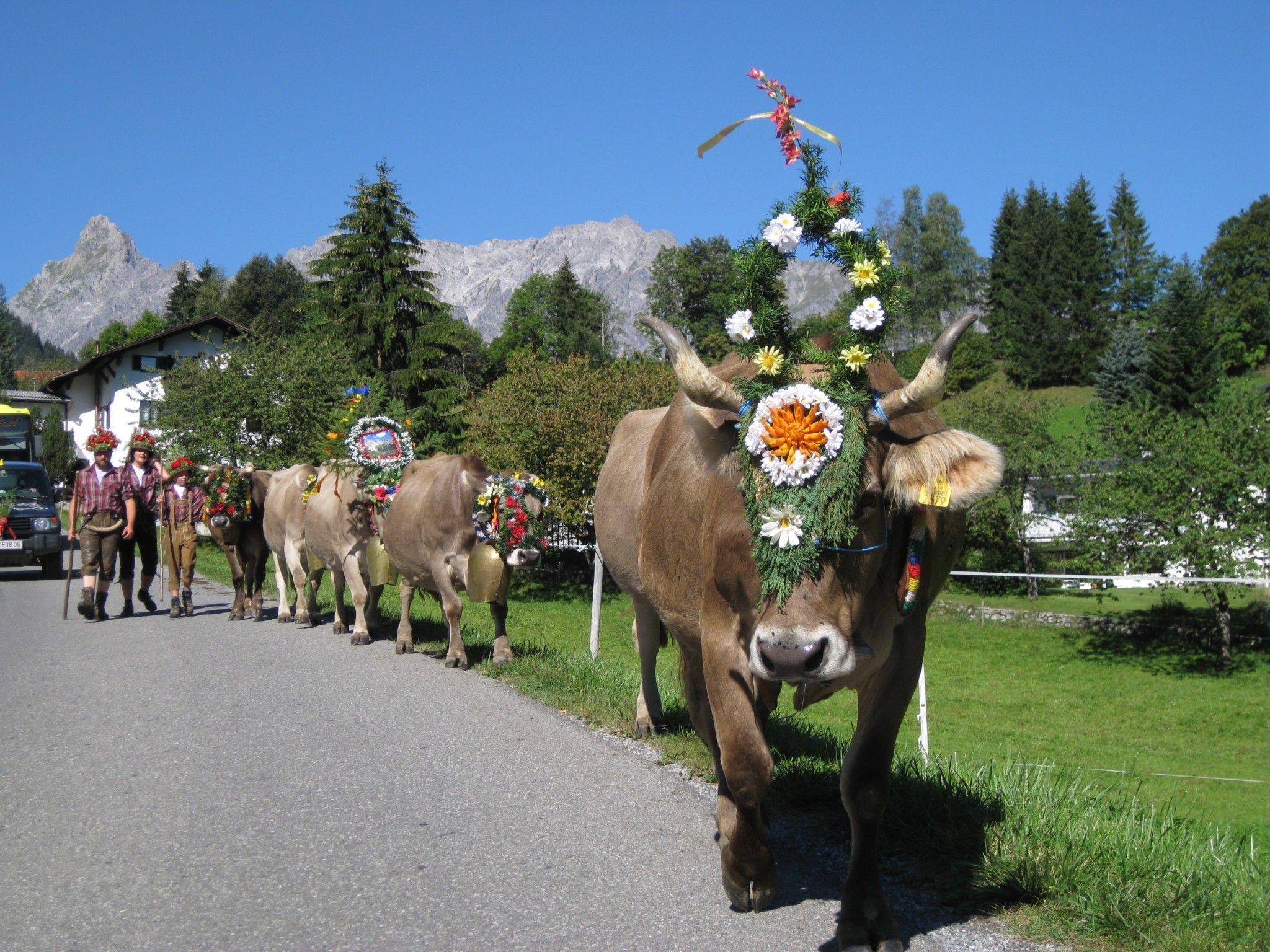 Traditionelles Brauchtum: Der Alpabtrieb - am 15. September von drei Alpen in Tschagguns. Traditionelles Brauchtum: Der Alpabtrieb - am 15. September von drei Alpen in Tschagguns.