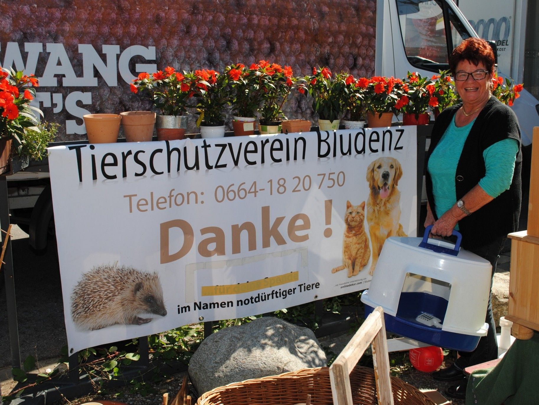 Annelies Dalpez organisiert einmal im Monat einen Flohmarkt für bedürftige Tiere Annelies Dalpez organisiert einmal im Monat einen Flohmarkt für bedürftige Tiere