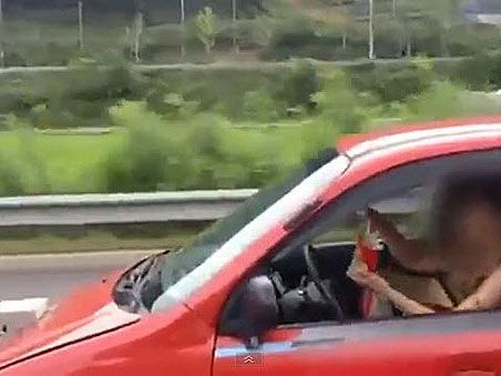 Lebensgefährlich: Essen und Autofahren gleichzeitig. Lebensgefährlich: Essen und Autofahren gleichzeitig.
