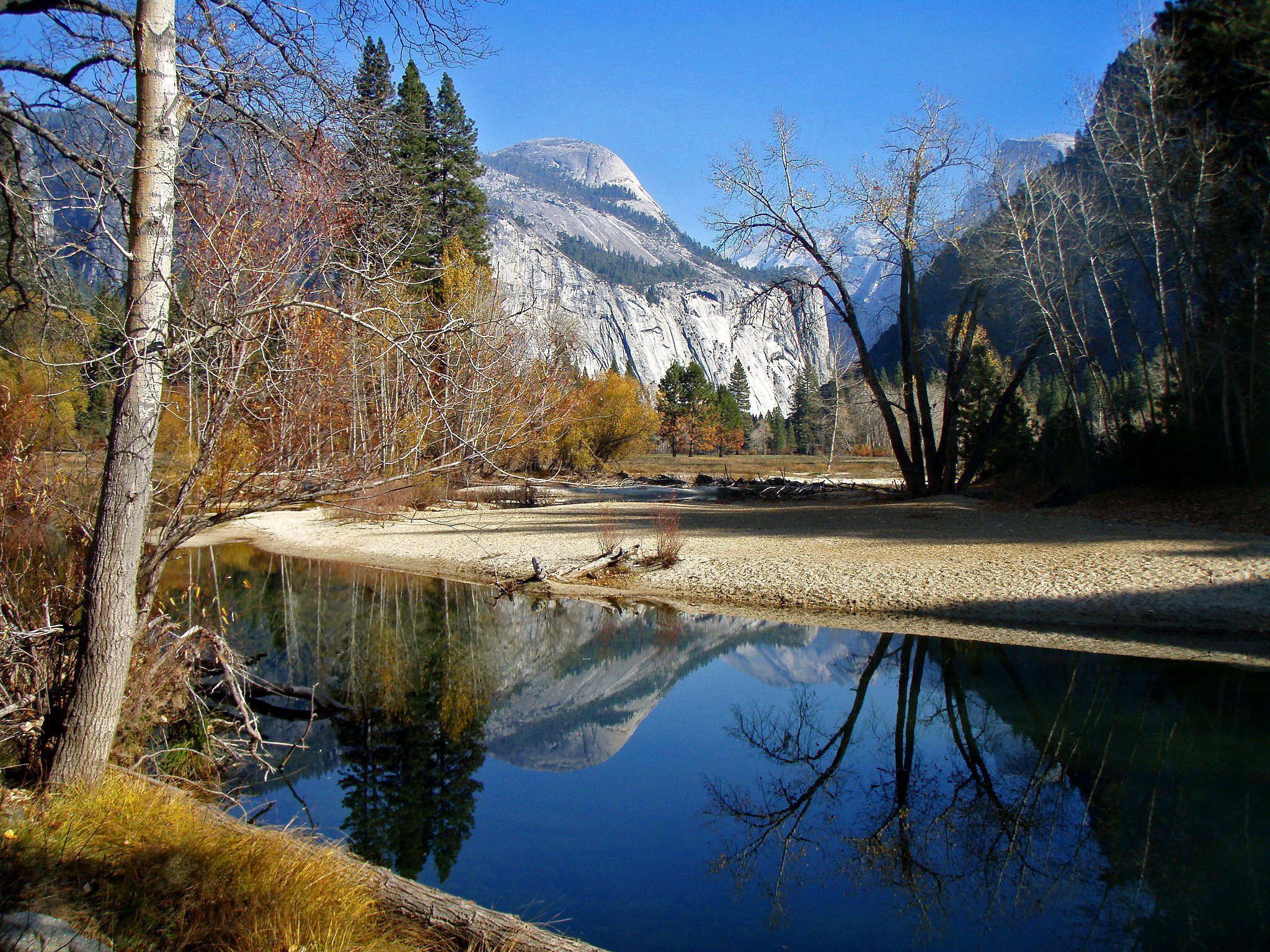 US-Nationalpark Yosemite: Mäuse nisteten zwischen Zelten.