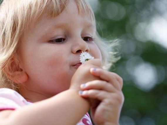 Seminar für Eltern von Kindern bis zu drei Jahren Seminar für Eltern von Kindern bis zu drei Jahren