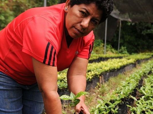 Margarita wird am 25. September im Kolpinghaus Götzis erwartet - sie spricht über Fairen Kaffeeanbau Margarita wird am 25. September im Kolpinghaus Götzis erwartet - sie spricht über Fairen Kaffeeanbau