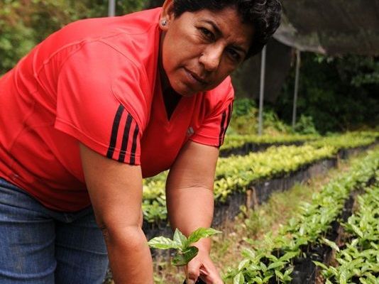 Margarita wird am 25. September im Kolpinghaus Götzis erwartet - sie spricht über Fairen Kaffeeanbau