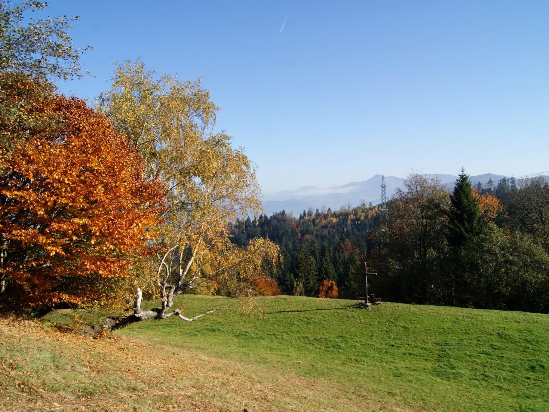 Der Schneiderkopf ist ein beliebtes Ausflugsziel – im Herbst meistens oberhalb der Nebelgrenze.