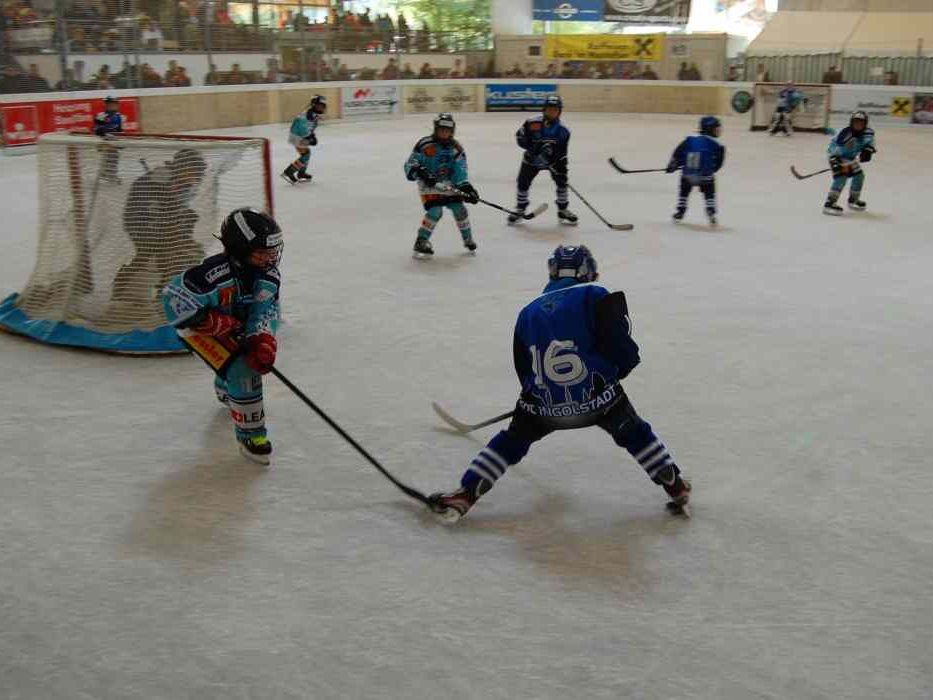 Insgesamt 20 Mannschaften nahmen am internationalen Montafoner Tournament teil. Insgesamt 20 Mannschaften nahmen am internationalen Montafoner Tournament teil.