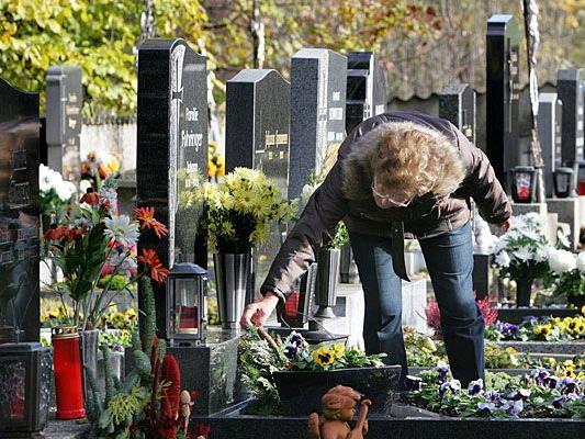 Grabpflege zu Allerheiligen auf einem Friedhof in Wien