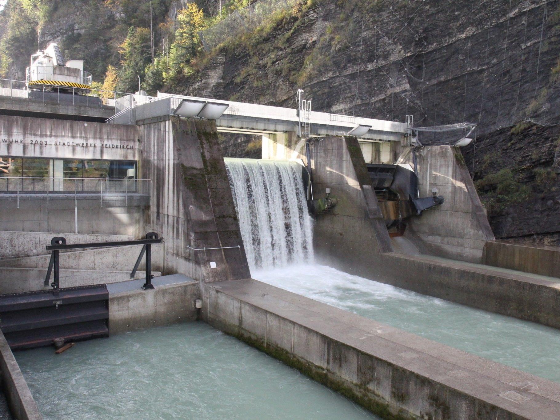 Fischzählung beim Kraftwerk Hochwuhr in Feldkirch.