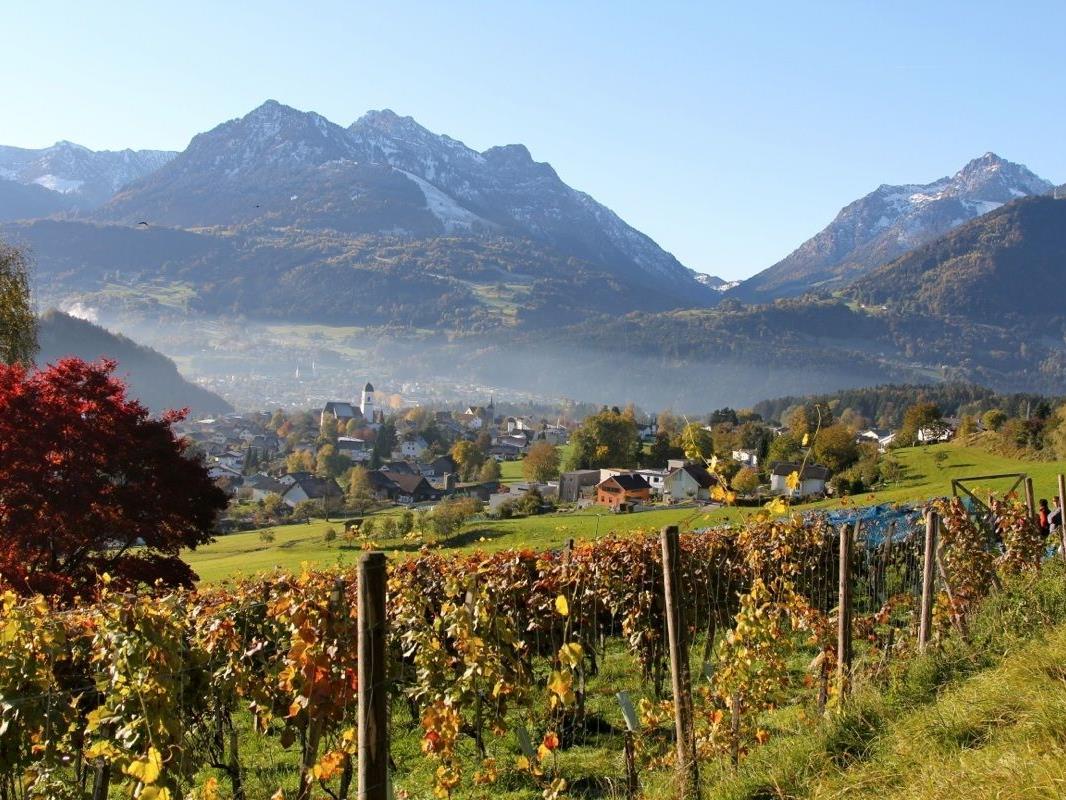 Schon die Römer wussten die klimatischen Vorzüge des südlichen Vorarlbergs und insbesondere des Walgaus zu schätzen. Blick vom Weinberg “Chesa Druschauna